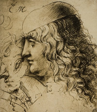 Study of a Masculine Head by Leonardo da Vinci